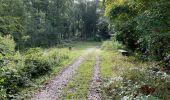 Randonnée Marche Orrouy - en Forêt de Compiègne_41_autour des Petits Monts - Photo 11