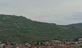 Randonnée Vélo de route Turckheim - Véloroute du vignoble - Photo 6