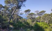 Tour Wandern Toulon - Tour du Faron - Toulon - Photo 4