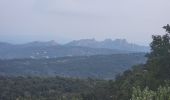 Trail Walking Le Muy - L'Escaillon et le tour de Guet - Photo 3