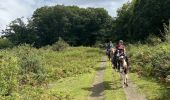 Tocht Paardrijden Baztan - Elizondo - Urdax - Photo 7