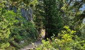 Randonnée Marche Pralognan-la-Vanoise - Mont Bachor Les Bramettes Cascade de la Fraîche Hauts de la Vanoise  - Photo 11