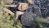 Tour Wandern Ollioules - Oppidum de la Courtine- Château Vallon-15-10-23 - Photo 1