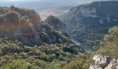 Trail Walking Laroque - laroque, plateau de thaurac - Photo 11