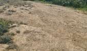 Tour Quad Montescot -  Villeneuve-de-la-Raho-Collioure (Septembre/Juin) - Photo 3