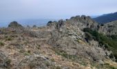 Trail Walking L'Albère - col ullat.  roc del grevol.  col sant joan . col de la font . puig sant christau . puig d orella . col d ullat - Photo 3