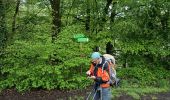 Tour Wandern Hirson - de Hirson, au domaine de Dangy, jusqu'à Signy le Petit - Photo 6