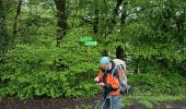 Randonnée Marche Hirson - de Hirson, au domaine de Dangy, jusqu'à Signy le Petit - Photo 6