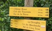 Tour Wandern Beauregard-Baret - pas de la Pierre pas de l'Aulagnier  - Photo 1