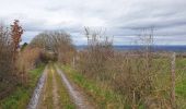 Randonnée Marche Beauraing - Balade à Javingue-Sevry - Photo 4