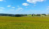 Tour Wandern Vielsalm - fraiture - plateau des tailles  - Photo 9