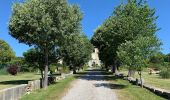 Percorso A piedi Saint-Laurent-du-Verdon - Chappelle Notre-Dame-du-Verdon - Photo 3