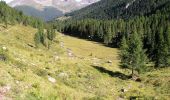 Trail On foot Cinte Tesino - Sentiero di Val D'Inferno e di Val Vendrame - Photo 10