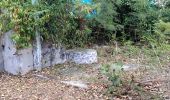 Tour Wandern Les Anses-d'Arlet - Les Anses d'Arlet - Photo 3