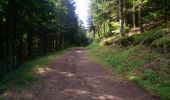 Trail Walking Besse-et-Saint-Anastaise - puy Montchal-Pavin et œuvre horizon 2022  - Photo 4