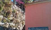 Trail Walking Vernazza - Corniglia gare Veratta - Photo 16