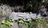 Tour Zu Fuß Eygliers - le col du Goulet - Photo 8