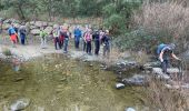 Tour Wandern Tanneron - Tanneron - Photo 3