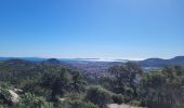 Tour Wandern Hyères - Chateau Saint Bernard - Photo 20