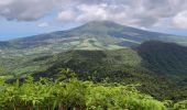 Tour Wandern Le Morne-Rouge - Morne Jacob via Morne-Rouge - Photo 15