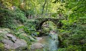 Tocht Stappen Waldbillig - Müllerthal W7 par la déviation  - Photo 16