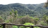 Trail On foot Hermigua - Ruta 9: El Contadero - Chorro del Cedro - Photo 4
