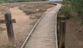 Tocht Stappen Vic-la-Gardiole - Le Bois des Aresquiers - Photo 3