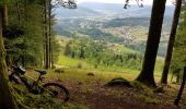 Trail Electric bike La Bresse - la bresse - piquante pierre - col de la burotte - Photo 5