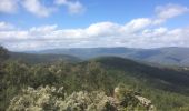 Tocht Stappen Le Lavandou - Tour du Haut Biscarre Biscarre - Photo 6