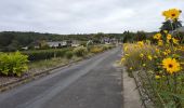 Tour Wandern Coteaux-sur-Loire - Saint-Patrice les Prés Bédoué - GRP Étang Chêne Meunier Ingrandes-de-Touraine - 20.4km 315m 4h35 (1h10) - 2024 10 03 - Photo 11