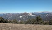 Trail Walking Soleilhas - Le Crémon depuis le Col St Barnabé  - Photo 7