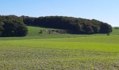 Randonnée Marche Villers-Outréaux - Villers Outreaux De Marliche au moulin de Brunet - Photo 1