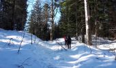 Percorso Marcia Saint-Christophe-sur-Guiers - La Ruchere - Col de l'Allienard - Photo 2