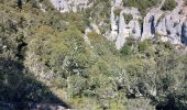 Randonnée Marche Oppedette - Gorges d'Oppedette - Photo 15