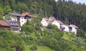 Tour Zu Fuß Wilhelmsthal - Schanzenbinder-Weg - Photo 9