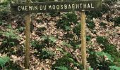 Tour Mountainbike Scharrachbergheim-Irmstett - Balade Vtt   Vosges  - Photo 3
