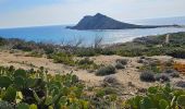 Tocht Stappen La Croix-Valmer - GIGARO . cap Taillat. AB -1 - Photo 2