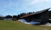 Trail On foot Kiefersfelden - Weg Nr. 5 - Höhenrundweg um den Scharzenberg - Oberaudorf/Hocheck - Photo 8