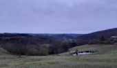 Trail Walking Stoumont - stpumont - froudcour aller via sentier corniche retour le long de l ambleve - Photo 12