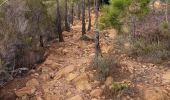 Tour Wandern Saint-Raphaël - la dent de l'ours  depuis gare de Trayas  - Photo 1