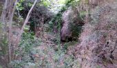 Trail Walking Davejean - DAVEJEAN - Les petits chemins de Davejean - Photo 1