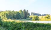 Excursión A pie Polička - Naučná stezka u Poličky - Photo 8