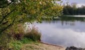 Tour Wandern Gembloux - Promenade du bois de Grand-Leez et son étang  - Photo 1