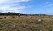 Excursión Bicicleta híbrida Unknown - Änggårde-Hemse-Gotland-Sverige - Photo 2