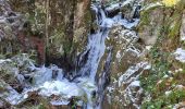 Trail Walking Lepuix - Saut de la Truite - cascade du Rummel - Etang du Petit-Haut - Ballon d'alsace - Photo 2