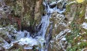 Tocht Stappen Lepuix - Saut de la Truite - cascade du Rummel - Etang du Petit-Haut - Ballon d'alsace - Photo 2