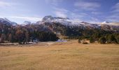 Tour Zu Fuß Blenio - Sentiero naturalistico Lucomagno 2 - Photo 4