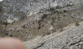 Randonnée Marche Fontaine - Le Moucherotte par le Vallon des Forges et le chemin de crête - Photo 8