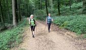 Tour Nordic Walking Habscht - Septfontaines - Photo 4