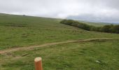 Tour Wandern Marchastel - [06] Compostelle : de Marchastel / Nasbinals à Saint-Chély-d'Aubrac - Photo 12